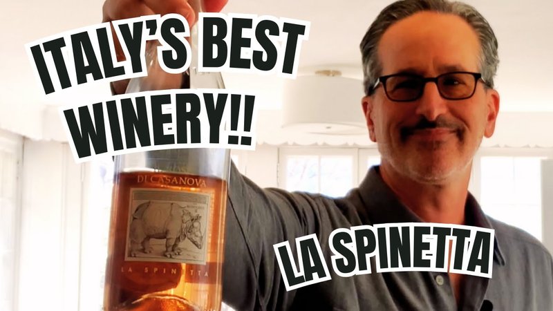 Spin Winera: Tutti i Segreti per Guadagnare Bono con l'App, spin winera app